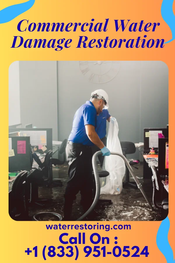Commercial Water Damage Restoration in Neylandville, TX