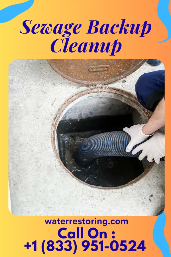 Sewage Backup Cleanup in Neylandville, TX